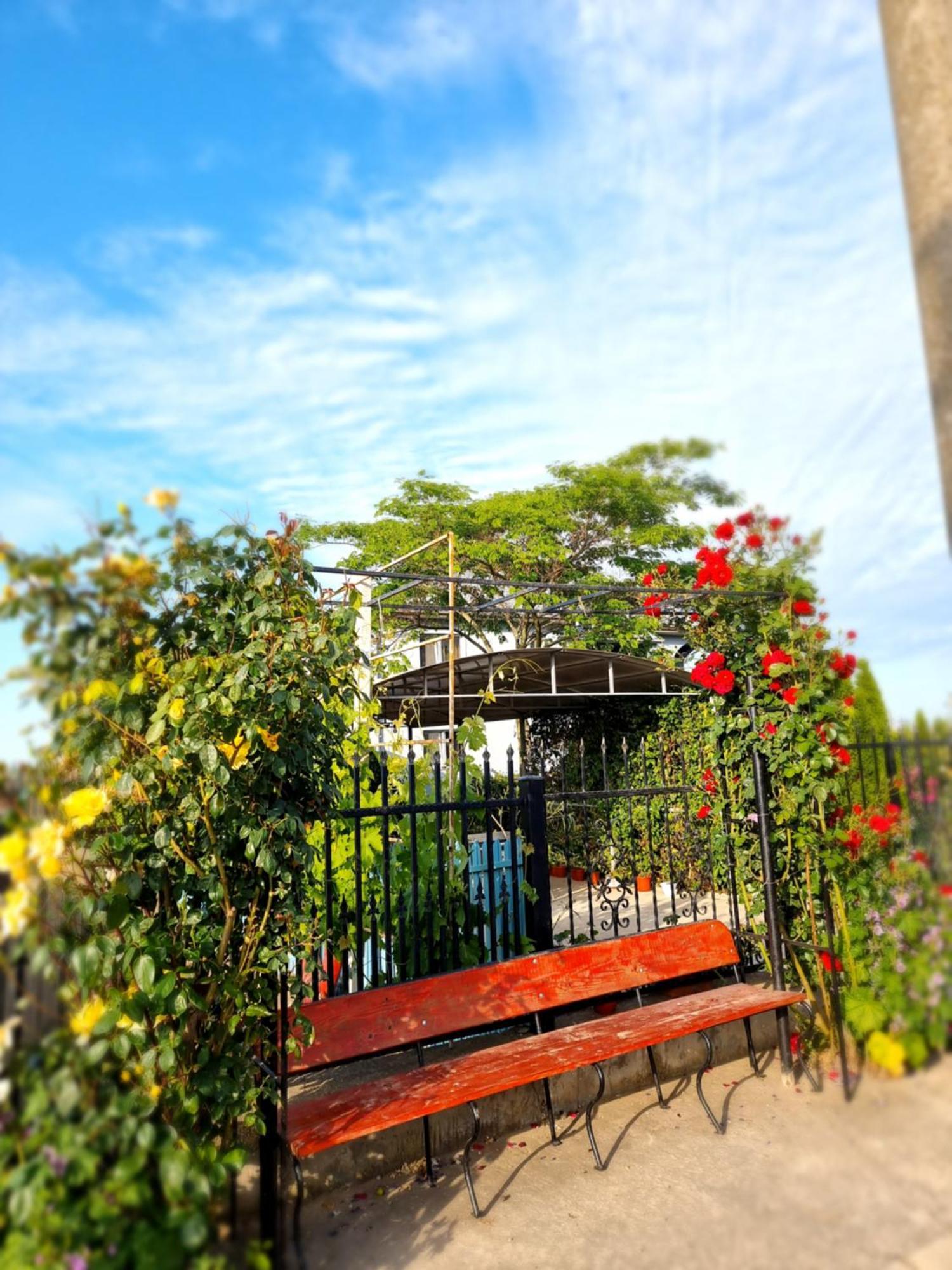 Casa Cu Trandafiri Murighiol Exterior photo